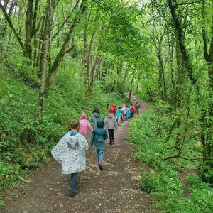 immagine anteprima per la notizia: le proposte per le scuole di arpa fvg