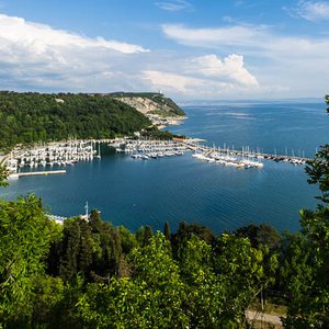 immagine anteprima per la notizia: bollettino sullo “stato oceanografico ed ecologico del golfo d...