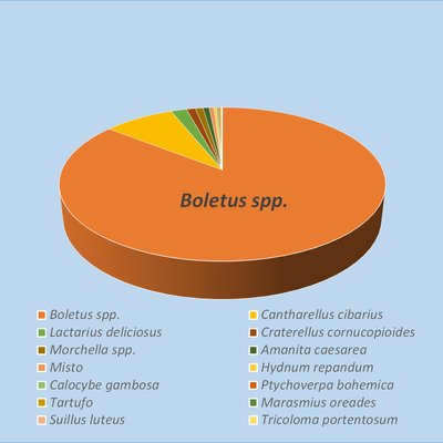 immagine contenuta nella pagina: funghi di importazione: controlli sulla radioattività