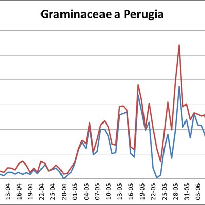 Graminacee stazione di Perugia - anni 2015, 2016