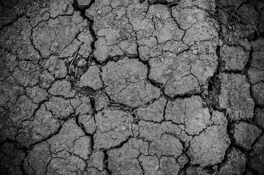 immagine contenuta nella pagina: controlli sui terreni