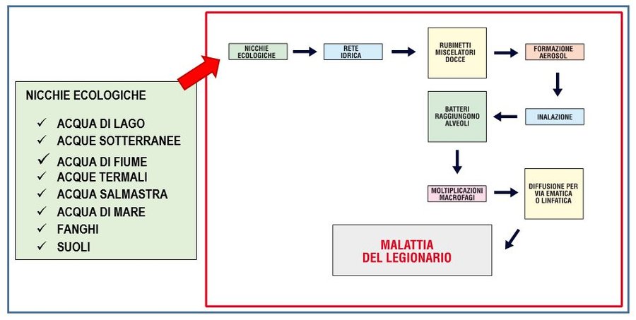 nicchie ecologiche e modalità di trasmissione