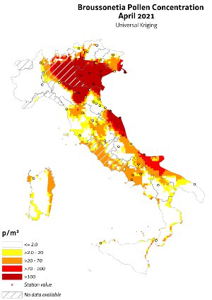 mappa della concentrazione di polline di brussonet...