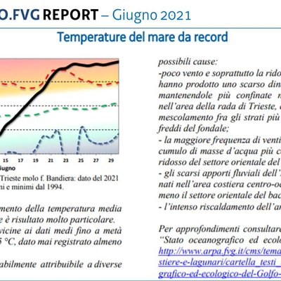 immagine contenuta nella pagina: bollettino sullo " stato oceanografico ed ecologico del golfo di...