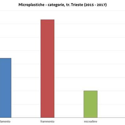 Figura 6 - Numero di microplastiche al m3 suddivise nelle diverse categorie censite nel transetto di Trieste (primo triennio di monitoraggio Strategia Marina, 2015 – 2017). La forma maggiormente censita è risultata essere frammento.