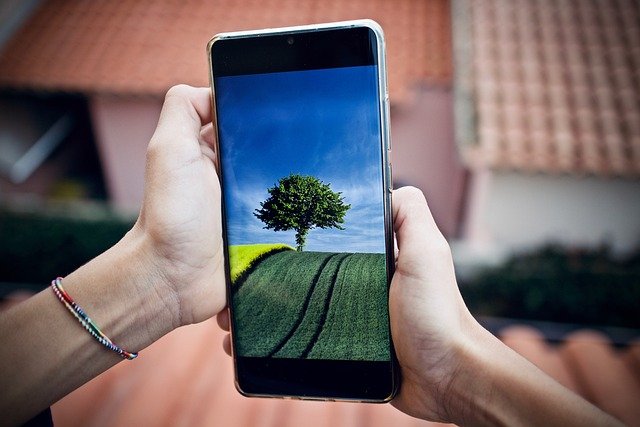 immagine contenuta nella pagina: tecnologia e natura (ragazzi)