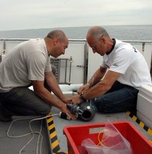 monitoraggi arpa fvg