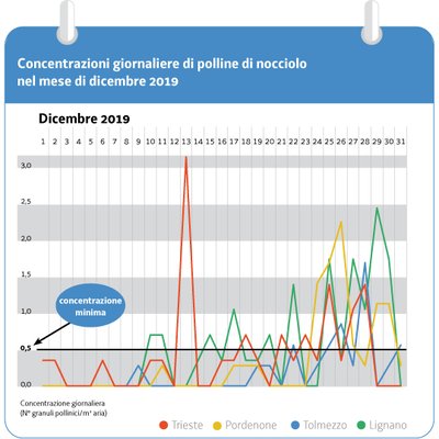 immagine contenuta nella pagina: la fioritura del nocciolo è in anticipo nella regione friuli ven...