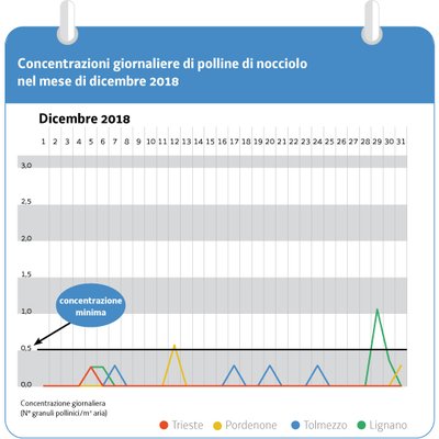 immagine contenuta nella pagina: la fioritura del nocciolo è in anticipo nella regione friuli ven...