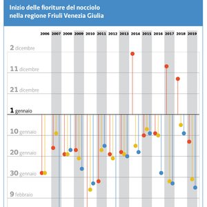 immagine anteprima per la notizia: la fioritura del nocciolo è in anticipo nella regione friuli v...