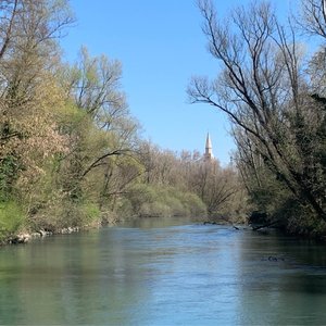 immagine anteprima per la notizia: il ruolo di arpa fvg nei contratti di fiume
