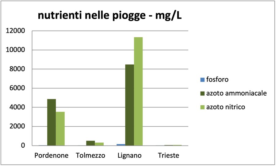 nutrienti 2020