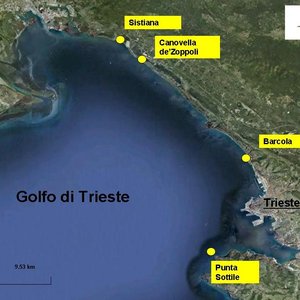 immagine anteprima per la notizia: ostreopsis ovata: i monitoraggi