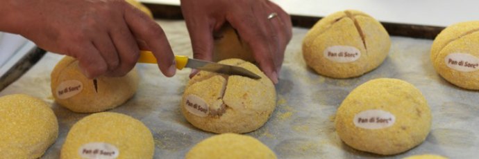 immagine tratta da www.fondazioneslowfood.com