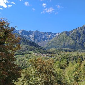immagine anteprima per la notizia: una nuova collaborazione con il parco delle prealpi giulie