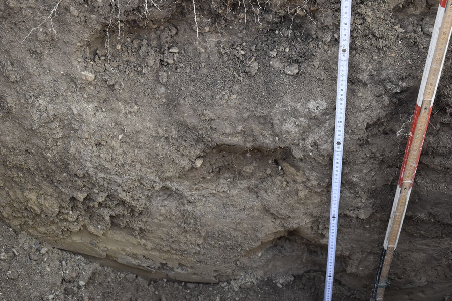 esempio di profilo di suolo con diversi orizzonti ...