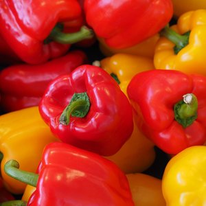 immagine anteprima per la notizia: il laboratorio di arpa fvg avvia le analisi di prodotti alimen...