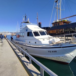 immagine anteprima per la notizia: vivere il golfo di trieste, evento per vivere il mare in modo ...