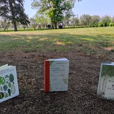 immagine contenuta nella pagina: natura e tecnologia si incontrano con l’app key to nature