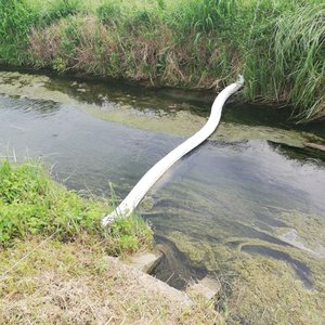 immagine anteprima per la notizia: interventi arpa fvg sul canale urian a san giorgio di nogaro