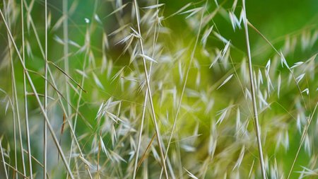 immagine anteprima blog trimestrale: primavera 2026