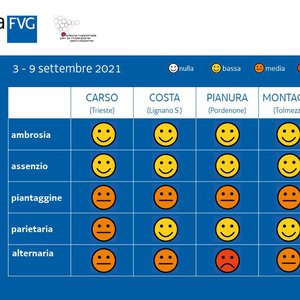 immagine anteprima per la notizia: previsione settimanale pollini del 03 settembre 2021