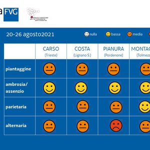 immagine anteprima per la notizia: previsione settimanale pollini del 20 agosto 2021