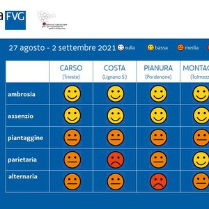 immagine anteprima per la notizia: previsione settimanale pollini del 27 agosto 2021