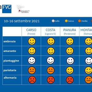 immagine anteprima per la notizia: previsione settimanale pollini del 13 agosto 2021