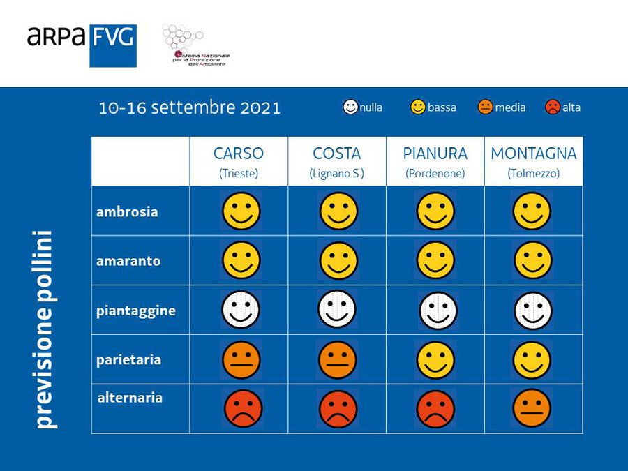 Previsione pollini del 13 agosto 2021