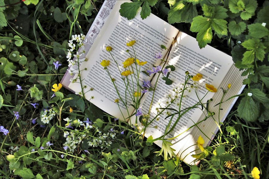 immagine contenuta nella pagina: come progettare insieme il giardino della scuola (insegnanti)
