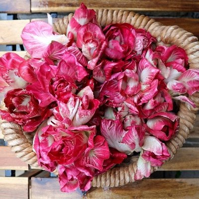 la rosa di gorizia