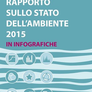 immagine anteprima per la pubblicazione: rsa 2015