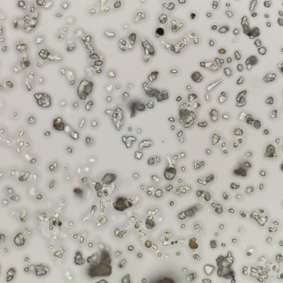 immagine contenuta nella pagina: le polveri dei giorni scorsi sono del caucaso: la conferma dalle...