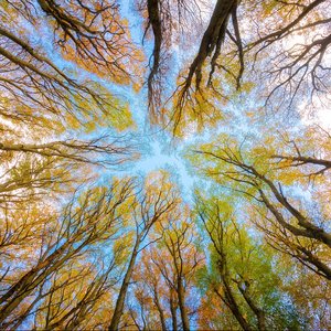 immagine anteprima per la notizia: al via il nuovo ciclo di seminari della scuola per l'ambiente ...