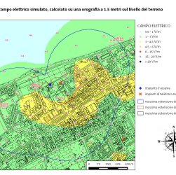 distribuzione del campo elettrico calcolato