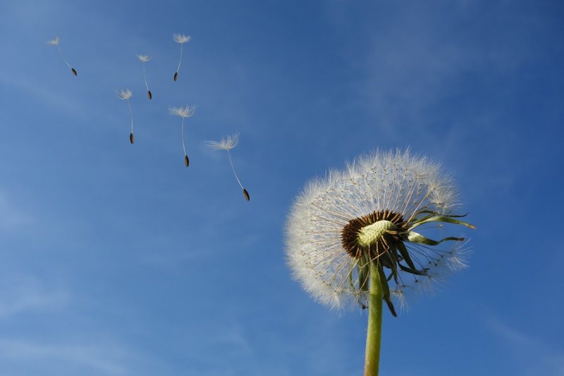 immagine anteprima per la notizia: qualità dell’aria in fvg, l’attenzione si sposta su ozono e be...