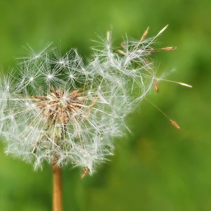 immagine anteprima per la notizia: rapporto sullo stato dell’ambiente un anno dopo: alcune confer...