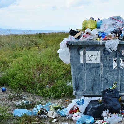 immagine contenuta nella pagina: emergenze ambientali