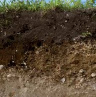 immagine contenuta nella pagina: il suolo