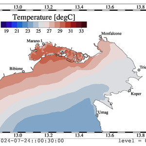 immagine anteprima per la notizia: previsioni modellistiche di correnti e temperatura superficial...