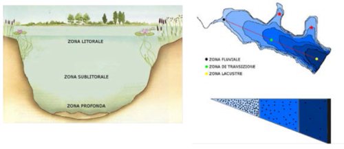 immagine contenuta nella pagina: elementi di qualità: corpi idrici lacustri