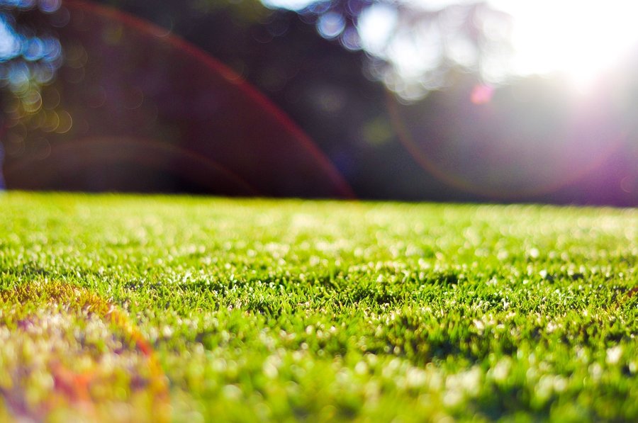 immagine contenuta nella pagina: scopri il verde nella tua città